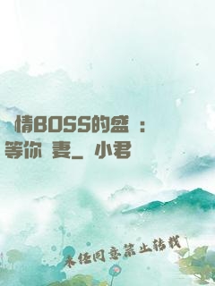 純情BOSS的盛愛：等你為妻