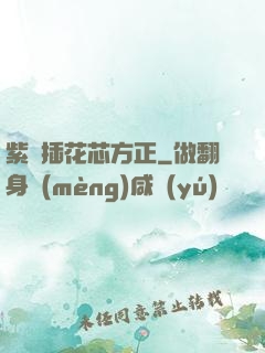 紫龍插花芯方正