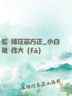 紫龍插花芯方正
