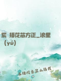 紫龍插花芯方正