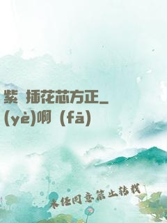 紫龍插花芯方正
