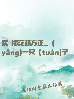 紫龍插花芯方正