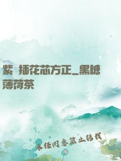 紫龍插花芯方正