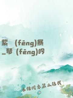 紫龍風(fēng)暴