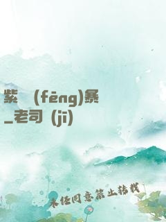 紫龍風(fēng)暴