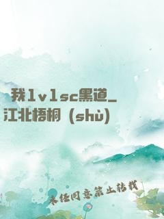 給我1v1sc黑道