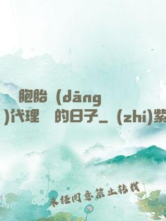 給雙胞胎當(dāng)代理媽媽的日子