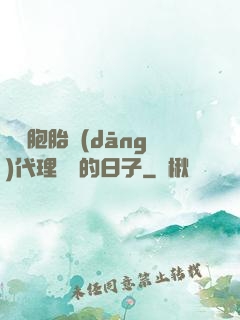 給雙胞胎當(dāng)代理媽媽的日子