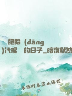 給雙胞胎當(dāng)代理媽媽的日子