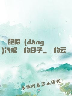 給雙胞胎當(dāng)代理媽媽的日子