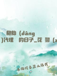 給雙胞胎當(dāng)代理媽媽的日子