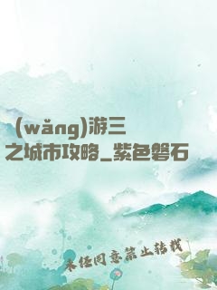 網(wǎng)游三國之城市攻略
