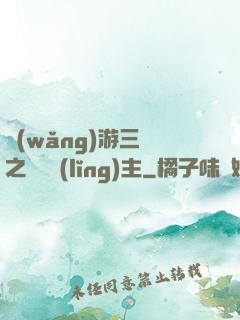 網(wǎng)游三國之無敵領(lǐng)主