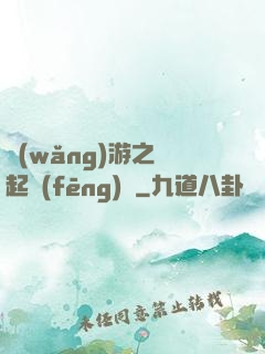 網(wǎng)游之劍起風(fēng)塵