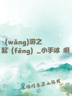 網(wǎng)游之劍起風(fēng)塵