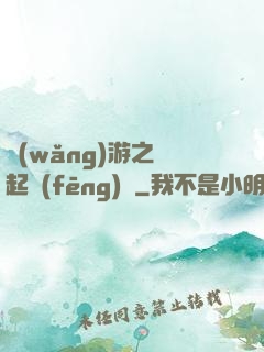 網(wǎng)游之劍起風(fēng)塵