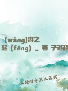 網(wǎng)游之劍起風(fēng)塵