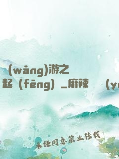 網(wǎng)游之劍起風(fēng)塵