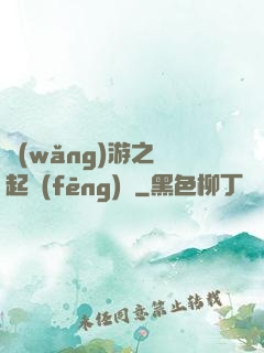 網(wǎng)游之劍起風(fēng)塵