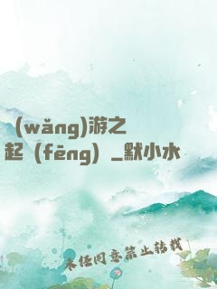 網(wǎng)游之劍起風(fēng)塵