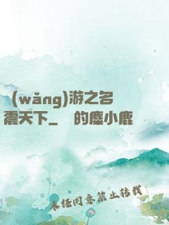 網(wǎng)游之名震天下