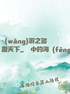 網(wǎng)游之名震天下