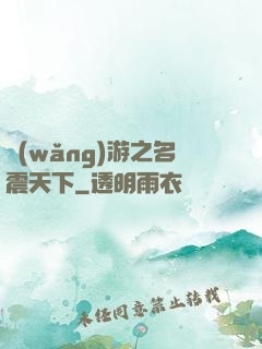 網(wǎng)游之名震天下
