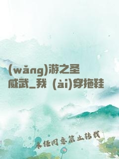 網(wǎng)游之圣騎威武