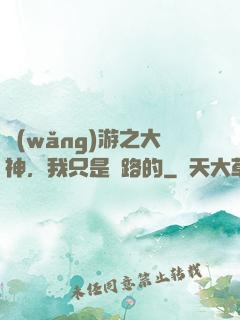 網(wǎng)游之大神，我只是過路的