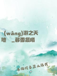 網(wǎng)游之天地縱橫