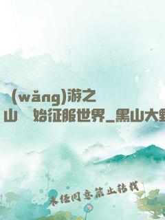 網(wǎng)游之從山賊開始征服世界