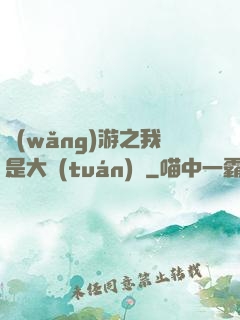 網(wǎng)游之我是大團(tuán)長