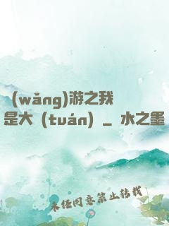 網(wǎng)游之我是大團(tuán)長