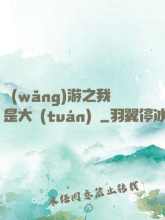 網(wǎng)游之我是大團(tuán)長