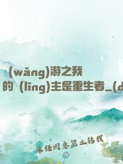 網(wǎng)游之我的領(lǐng)主是重生者