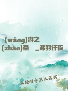 網(wǎng)游之戰(zhàn)圣歸來