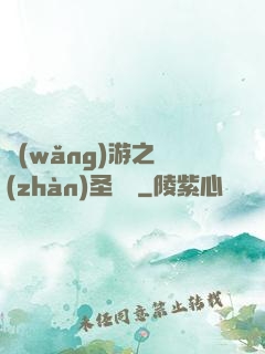 網(wǎng)游之戰(zhàn)圣歸來