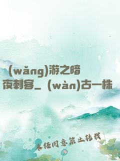 網(wǎng)游之暗夜刺客