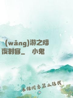網(wǎng)游之暗夜刺客