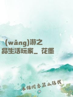 網(wǎng)游之極品生活玩家