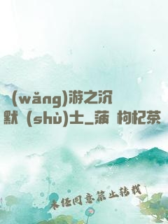 網(wǎng)游之沉默術(shù)士