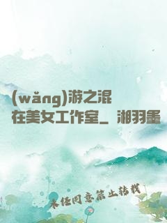 網(wǎng)游之混跡在美女工作室