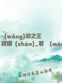 網(wǎng)游之王牌盾戰(zhàn)