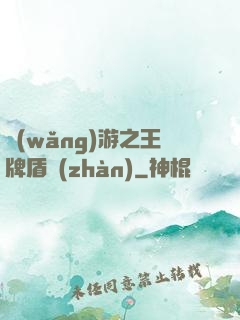 網(wǎng)游之王牌盾戰(zhàn)