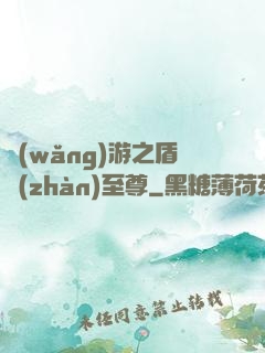 網(wǎng)游之盾戰(zhàn)至尊