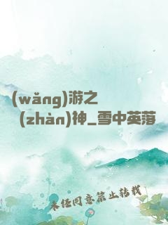 網(wǎng)游之終極戰(zhàn)神