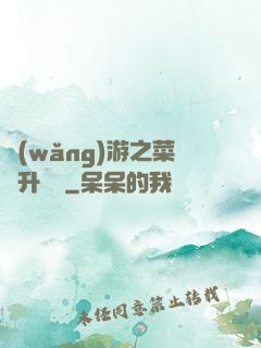 網(wǎng)游之菜鳥升職記