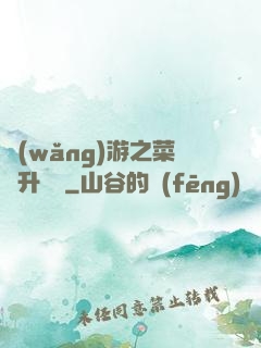 網(wǎng)游之菜鳥升職記