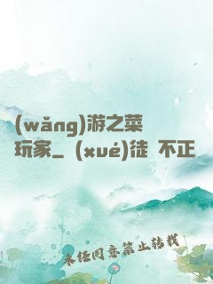 網(wǎng)游之菜鳥玩家