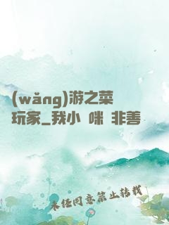 網(wǎng)游之菜鳥玩家